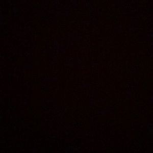 Meet your Posher, Lexi